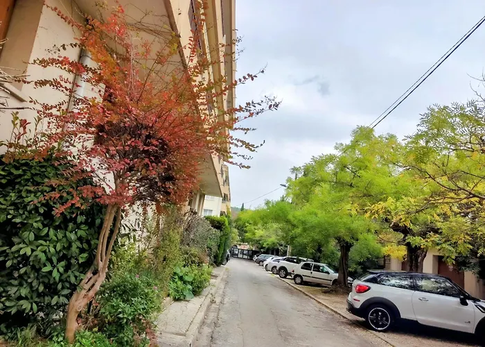 Provencal-Style Apartment